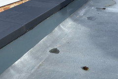 roof-4